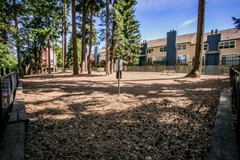 The colonnade apartments pet friendly community with dog park